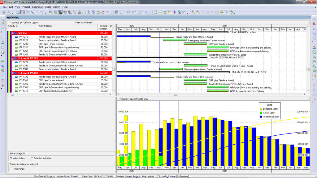 CIM Technologies, Inc. | primavera-p6-screenshot-2